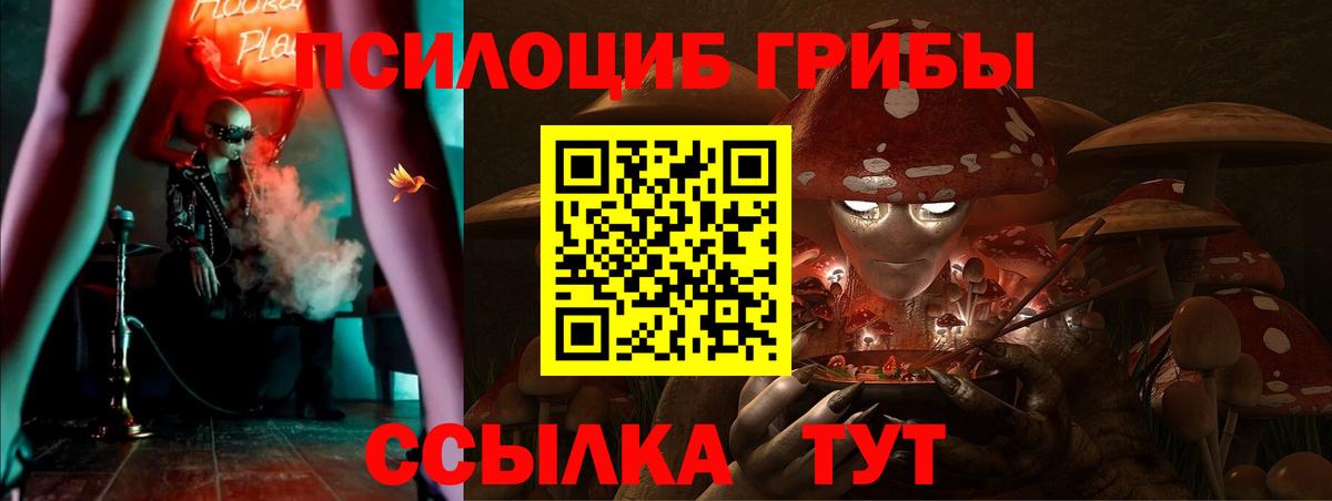 Энгельс  Галлюциногенные грибы прущие грибы  Вход с VPN 
